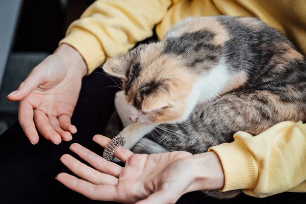 조크는 중국의 전통적 요법이다 Sujok Pain Therapy Finger Massager Circulation — 스톡 사진