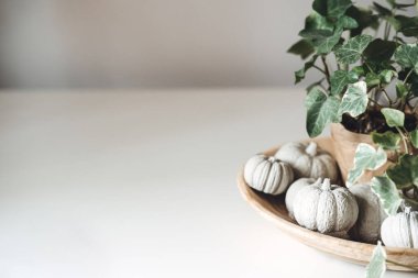 Sürdürülebilir Çevre dostu Sıfır İsraf Şükran Günü afişi. Minimum şükran günü Cadılar Bayramı dekoratif kompozisyonu kil kabaklar ve ahşap tabakta yeşil ev bitkisi.