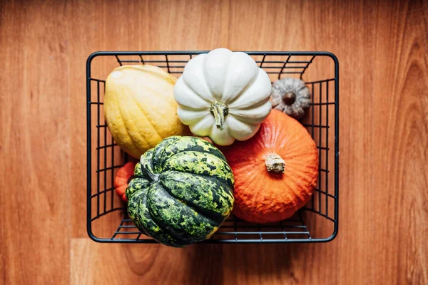 Sustainable Eco Friendly slow living Thanksgiving. Various Thanksgiving pumpkins in metal basket. Modern minimal basket with many decorative pumpkins.