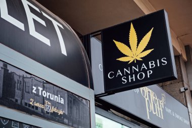 Kenevir dükkanı tabelası. Yasallaştırılmış CBD yağı ya da tıbbi esrar dükkanı. Yasal olarak kenevir, ot, kenevir, marihuana satışı. Eczanedeki Cannabinoidler. Varşova, Polonya - 02 Eylül 2022