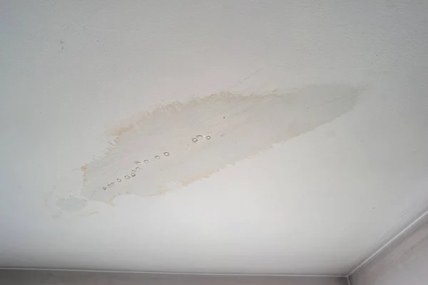 Leaky roof dampness in bedroom ceiling walls. Water droplets forming and dripping from damp ceiling from rain water flooding. Close shot, no people.