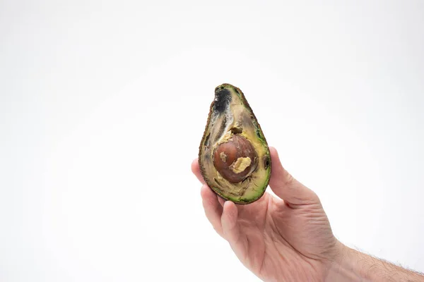 Αρσενικό Χέρι Που Κρατάει Ένα Χαλασμένο Σάπιο Υπερώριμο Φρούτο Αβοκάντο — Φωτογραφία Αρχείου