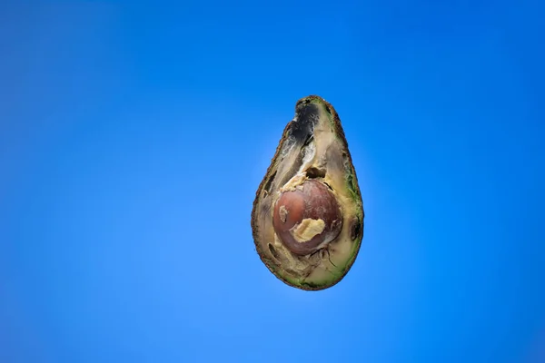 Rozmazlené Přezrálé Avokádové Ovoce Rozříznuté Vejpůl Detail Studio Záběr Izolované — Stock fotografie