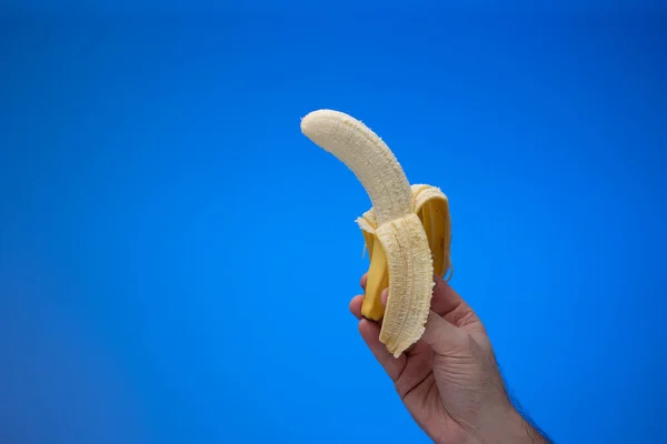 Ripe yellow half peeled banana held in hand by Caucasian male hand. Close up studio shot, isolated on blue background.