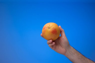 Beyaz bir erkek tarafından elde tutulan olgun bir greyfurt. Stüdyo çekimini kapat, mavi arkaplanda izole edilmiş..