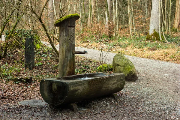 Aus Holz Geschnitzter Öffentlicher Brunnen Wald Ständig Fließendes Wasser Strömt — Stockfoto