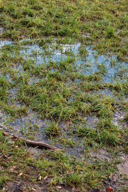 Şiddetli yağmurdan sonra tarımsal alanları su bastı. Gündüz, güneş ışığı, insan yok..