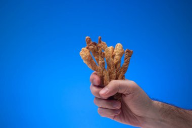 Beyaz erkek tarafından elde tutulan ev yapımı hamur işi ekmek çubukları. Stüdyo çekimini kapat, mavi arkaplanda izole edilmiş.