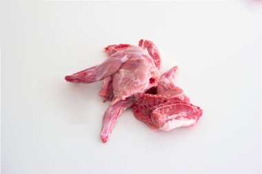 Pişmemiş çiğ tavşan ya da tavşan bacağı. Üst kattaki stüdyoyu kapatın, kimse yok..