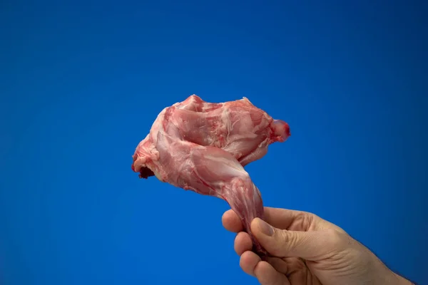 Неприготовленный Сырой Кролик Заячья Нога Прижатая Руке Белым Самцом Съемки — стоковое фото