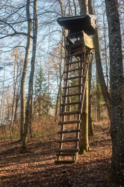 Avrupa 'da bir ormanda gözetleme kulesi ya da gözetleme kulesi. Gündüz vakti, ilkbahar erken, insan yok. Zemin seviyesi perspektifi.