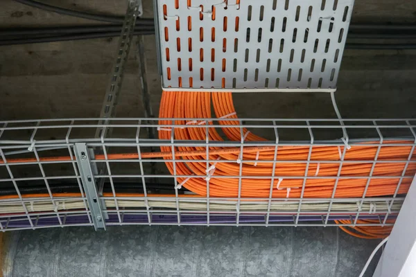 Starannie Zaaranżowana Wiązka Kabli Ethernet Zamontowanych Suficie Korytarzu Budynku Przemysłowego — Zdjęcie stockowe