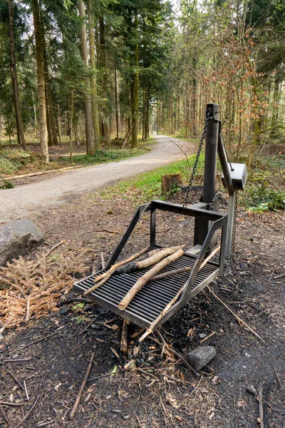 Veřejné Použití Kovové Gril Stanice Oheň Dřeva Lese Den Široký — Stock fotografie