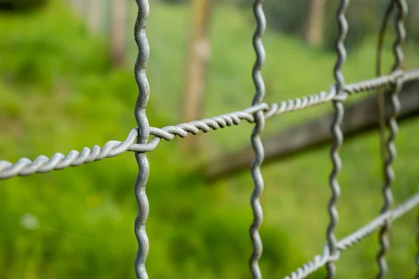 Maschendraht Gitterzaun Freien Nahaufnahme Grüner Hintergrund Keine Menschen — Stockfoto