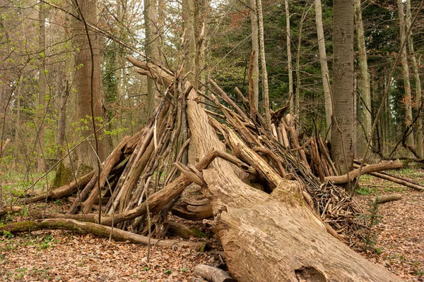 Spielhaus Aus Zweigen Und Stöcken Wald Erlebnishütte Der Natur Tagsüber — Stockfoto