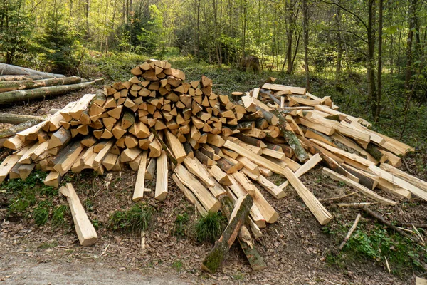Pile Stacked Firewood Forest Forestry Works People — Foto de Stock