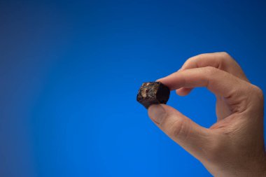 Koyu çikolatalı pralin, trüf mantarı ya da elinde beyaz bir erkek tarafından tutulan şeker. Stüdyo çekimini kapat, mavi arkaplanda izole edilmiş..