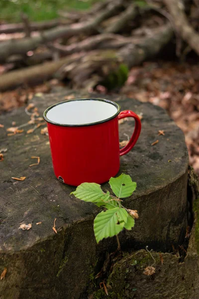 Красный Металлический Кемпинг Кружка Чашка Пикника Дневной Зеленый Лес Людей — стоковое фото