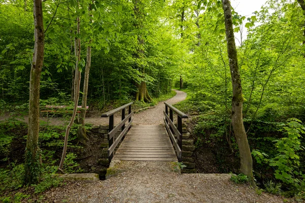 Ormandaki küçük bir nehrin üzerinde parmaklıkları olan eski ahşap bir köprü. Güneşli yaz günü, kimse yok..
