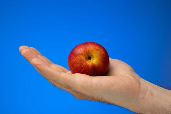 Uma Fruta Pêssego Madura Realizada Pela Mão Masculina Caucasiana Fechar — Fotografia de Stock