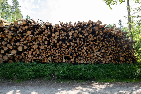 Большая Куча Вырубленных Деревьев Лесу Европе Лесные Работы Вырубка Лесов — стоковое фото