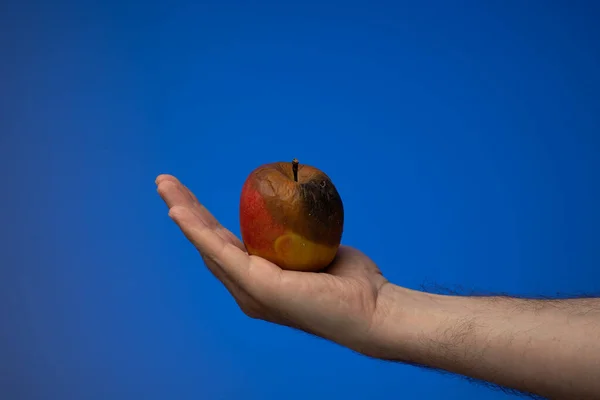 半烂或变质的苹果 由白人男性的手牵着 特写镜头 蓝色背景隔离 — 图库照片