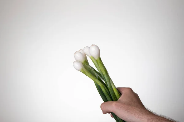 Fresh Green Spring Onions Held Hand Caucasian Male Hand Close — Foto de Stock