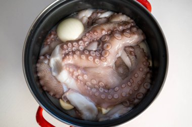 Pişirmeye hazır olmak için bütün ahtapotu tencerede pişirdim. Üst manzara, insan yok..