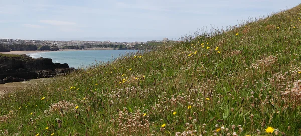 Cornish kustlijn — Stockfoto