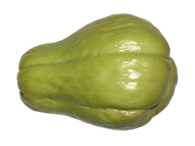 Squash