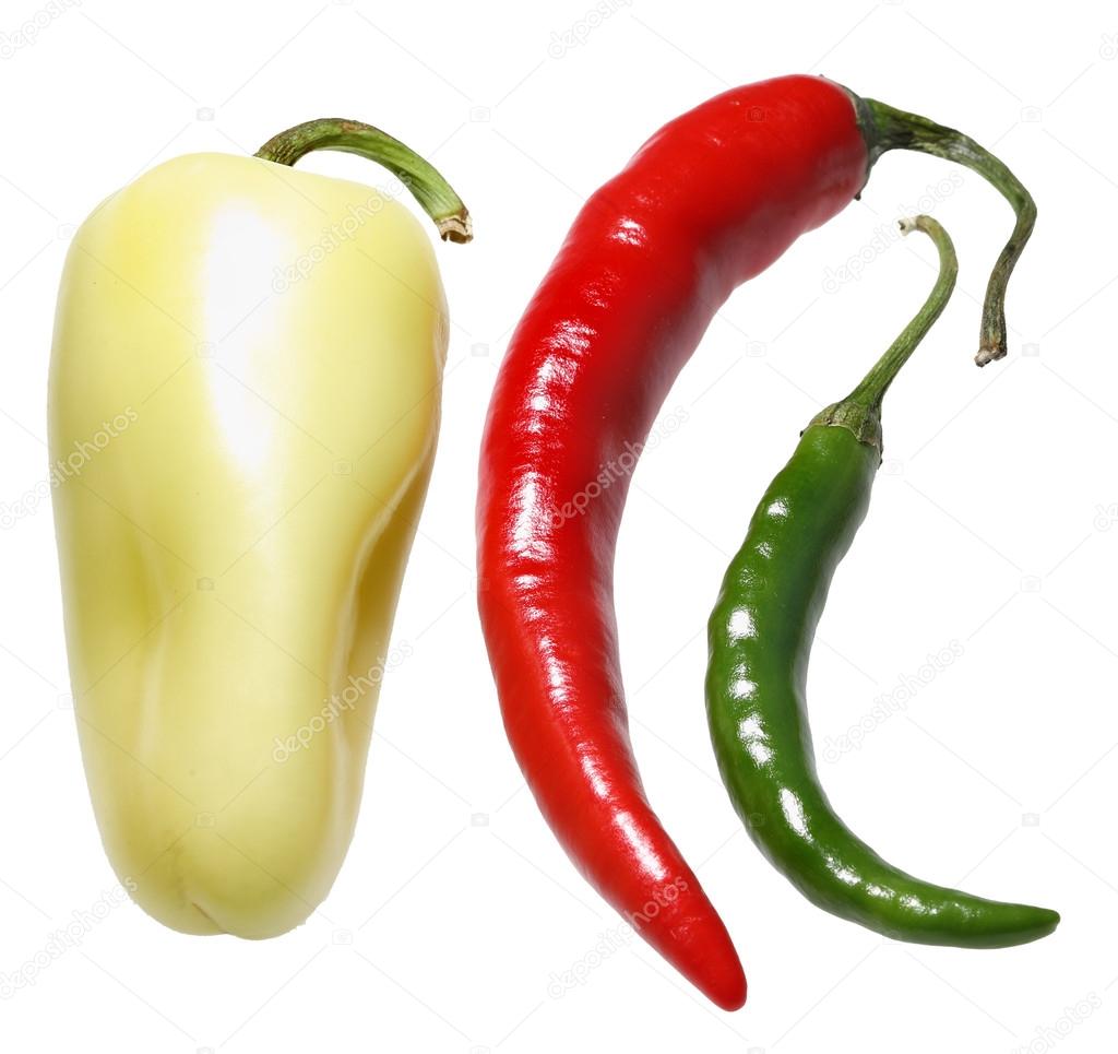 Red, white and green hot chili pepper