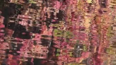 Gölde bir sonbahar yansımalar