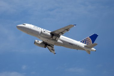United Hava Yolları'nın airbus a319-131