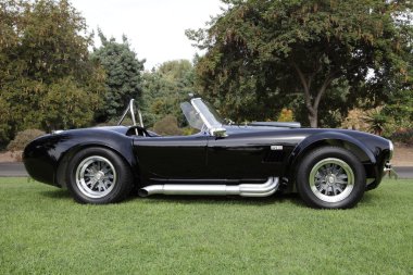 los angeles arboretum, Shelby Kobra