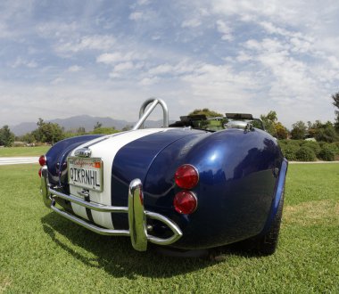 Shelby Cobras at the Los Angeles Arboretum clipart