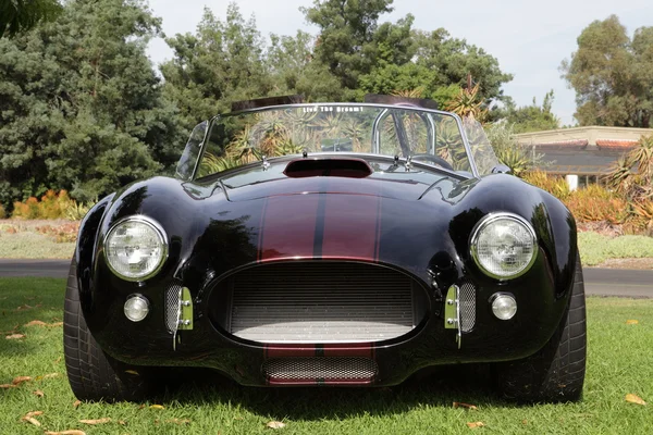 Shelby Cobra's op de los angeles arboretum — Stockfoto