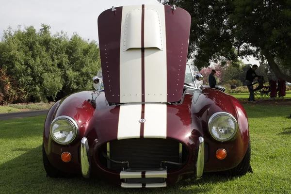 Shelby Cobra's op de los angeles arboretum — Stockfoto