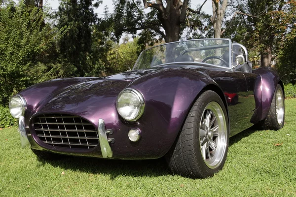 Shelby Cobra's op de los angeles arboretum — Stockfoto