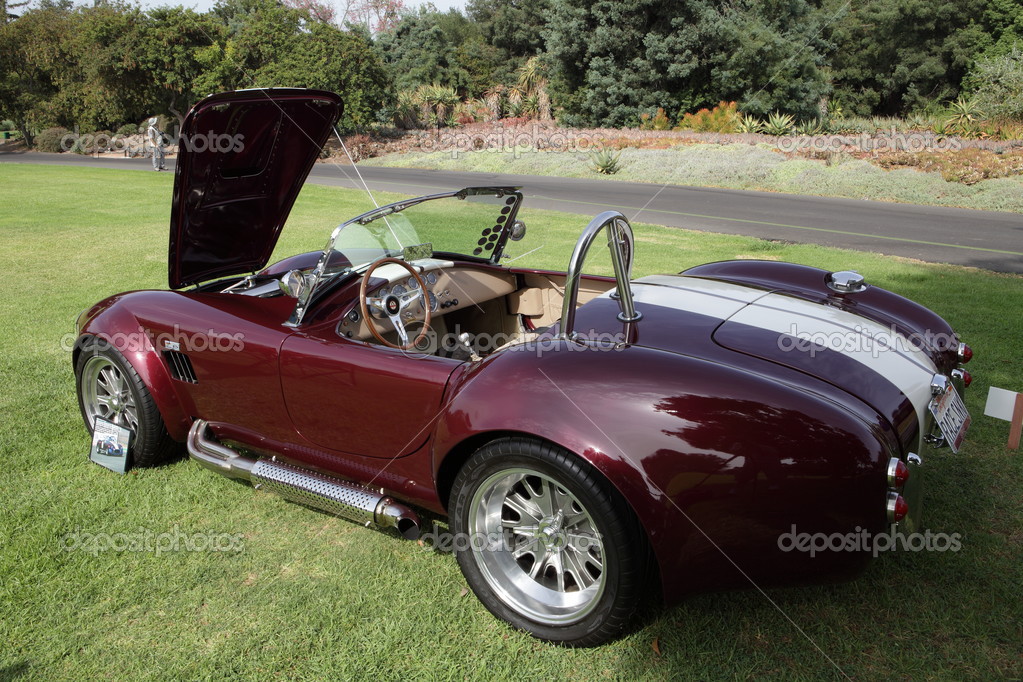 Shelby Cobras at the Los Angeles Arboretum Stock Editorial Photo