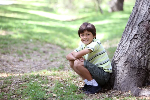 Boy v lese série — Stock fotografie