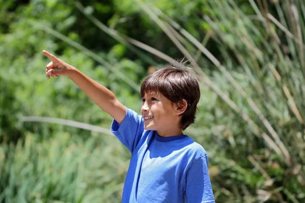 Giovane ragazzo in serie natura — Foto Stock