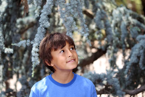 Giovane ragazzo in serie natura — Foto Stock