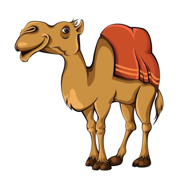 Camel vector clipart