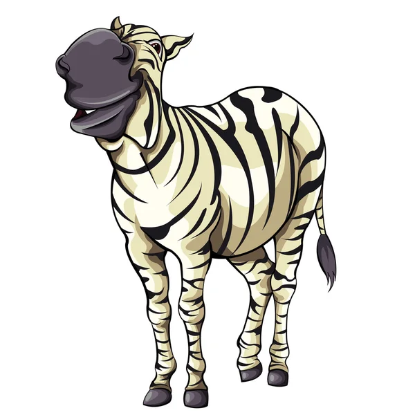 Zebra engraçada —  Vetores de Stock