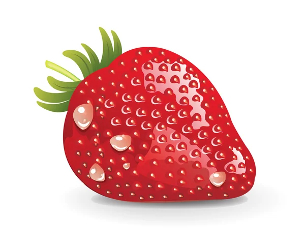 Frutilla — Vector de stock