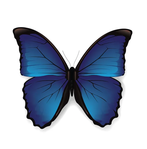 Papillon — Image vectorielle