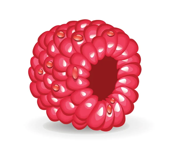 Une framboise — Image vectorielle