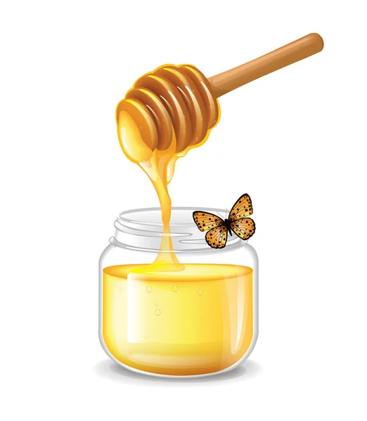 Honey — Stock Vector