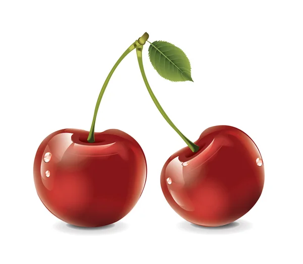 Cherry — Stock Vector