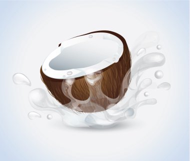 Hindistan cevizi splash